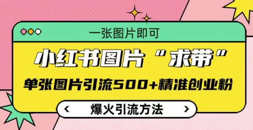 小红书图片‘求带’爆火引流法，单张图片引流500+精准创业粉-白戈学堂