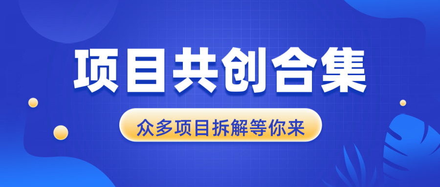（13778期）项目共创合集，从0-1全过程拆解，让你迅速找到适合自已的项目-白戈学堂
