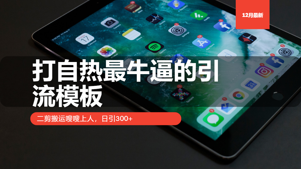 （13654期）打自热最牛逼的引流模板，二剪搬运嗖嗖上人，日引300+-白戈学堂