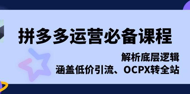 拼多多运营必备课程，解析底层逻辑，涵盖低价引流、OCPX转全站-白戈学堂