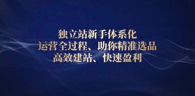 （13914期）独立站新手体系化 运营全过程，助你精准选品、高效建站、快速盈利-白戈学堂