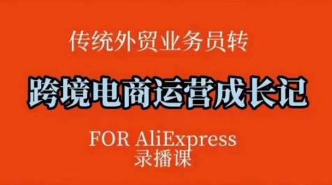 跨境电商速卖通运营课，​运营方法论+后台实操，逻辑清晰-白戈学堂
