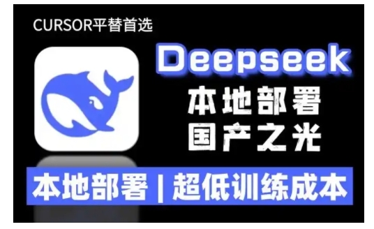2025年deepseek R1 大型模型本地安装部署(文件+教程)本地部署，超低训练成本-白戈学堂