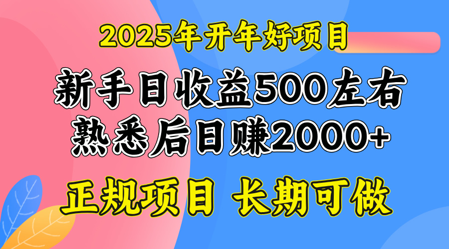 （14076期）2025开年好项目，单号日收益2000左右-白戈学堂