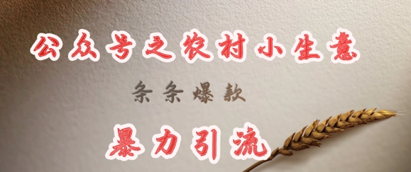 deepseek写农村小项目，条条爆款，暴力引流-白戈学堂