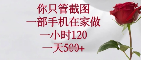 你只管截图，一部手机在家操作，一小时120.一天5张-白戈学堂