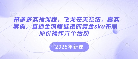 拼多多实操课程，飞龙在天玩法，真实案例，直播全流程链接的黄金sku布局原价操作六个活动-白戈学堂