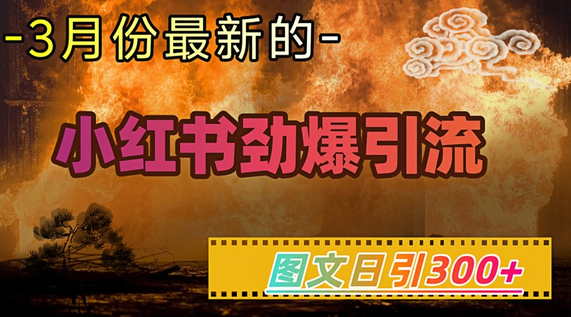 小红书超劲爆引流手段，图文日引300+轻松变现1W-白戈学堂