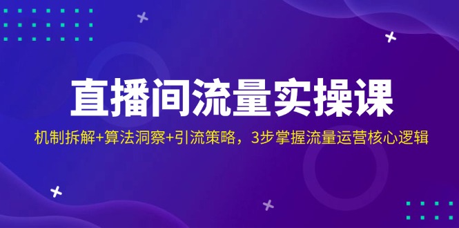 （14122期）直播间流量实操课：机制拆解+算法洞察+引流策略，3步掌握流量运营核心逻辑-白戈学堂