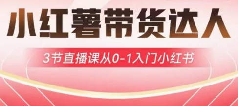 小红薯达人带货启航计划，3节直播课从0-1入门小红书-白戈学堂