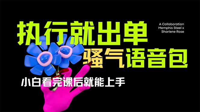 （14170期）爆火全网的开车导航骚气语音包,只要执行就出单，小白看完课程就能实操…-白戈学堂