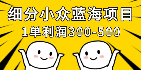 细分小众蓝海项目，一单利润3张，每月收入稳定过1w+-白戈学堂