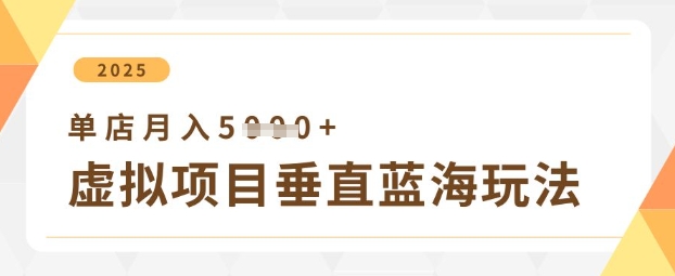 虚拟项目垂直玩法，实现单店月入5k+-白戈学堂