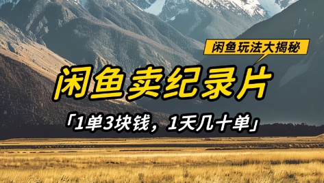 闲鱼卖纪录片1单3块钱，1天几十单，项目稳定有潜力-白戈学堂