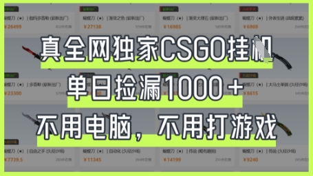 真全网独家CSGO挂G，单日捡漏1k+-白戈学堂