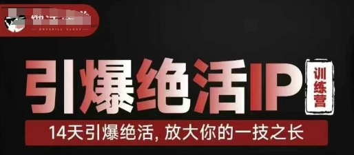 引爆绝活IP训练营，14天引爆绝活，放大你的一技之长-白戈学堂