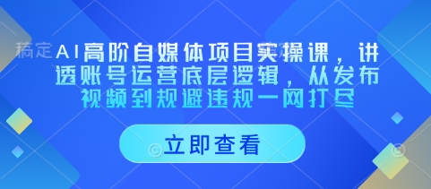 AI高阶自媒体项目实操课，讲透账号运营底层逻辑，从发布视频到规避违规一网打尽-白戈学堂
