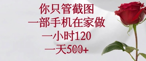 你只管截图，一部手机在家做，苹果安卓都可以，一小时120，一天5张+-白戈学堂