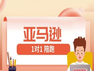 亚马逊1对1陪跑课(FBA/FBM精铺)跨境亚马逊教程-白戈学堂