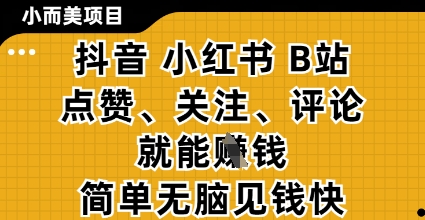 小而美的项目，抖音小红书B站视频点赞、关注、评论就能挣钱，简单无脑立见收益，妥妥的零撸项目-白戈学堂