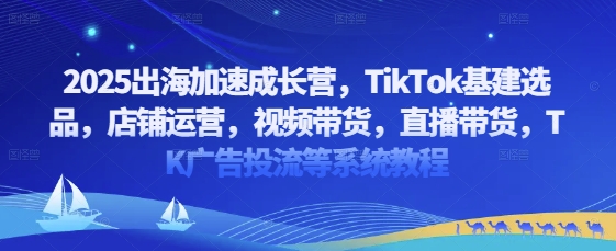 2025出海加速成长营，TikTok基建选品，店铺运营，视频带货，直播带货，TK广告投流等系统教程-白戈学堂