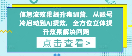 信息流效果提升集训营，从账号冷启动到AI提效，全方位立体提升效果解决问题-白戈学堂