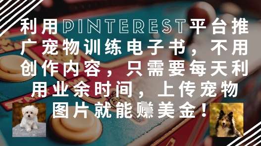 利用Pinterest平台推广宠物训练电子书，不用创作内容，只需要每天利用业余时间，上传宠物图片就能挣美金!-白戈学堂