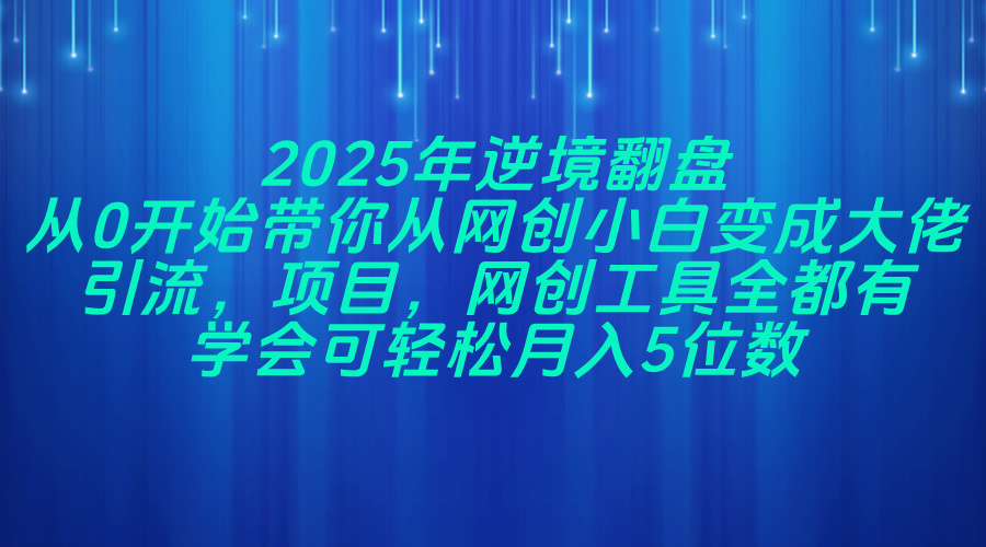（14473期）2025年逆境翻盘，从0开始带你从网创小白变成大佬，引流，项目，网创工…-白戈学堂