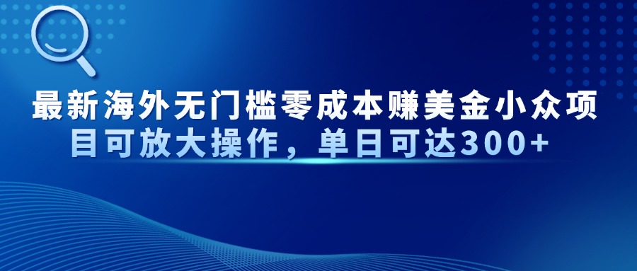 （14542期）最新海外无门槛零成本赚美金小众项目可放大操作，单日可达300+-白戈学堂