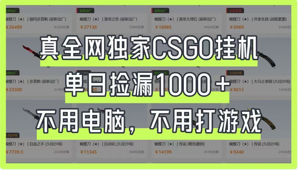 真全网独家CSGO挂机，单日捡漏1000+，不用电脑，不用养号-白戈学堂