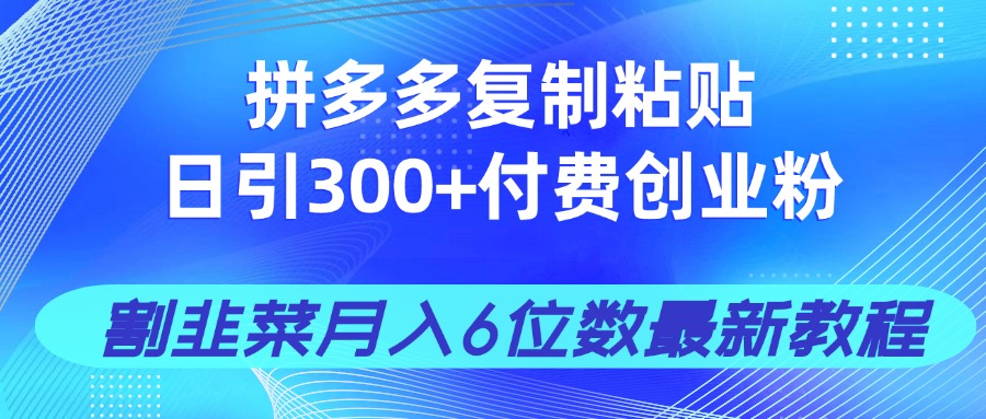 （14232期）拼多多复制粘贴日引300+付费创业粉，割韭菜月入6位数最新教程！-白戈学堂