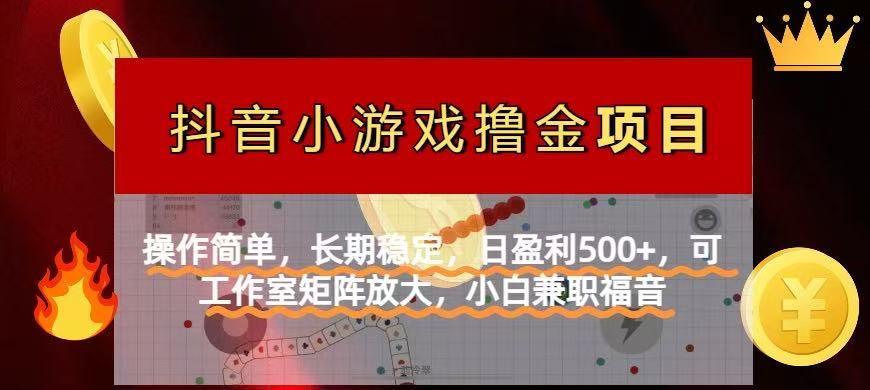 （14290期）【抖音小游戏发行人计划项目】操作简单，长期稳定，日盈利500+，可工作…-白戈学堂