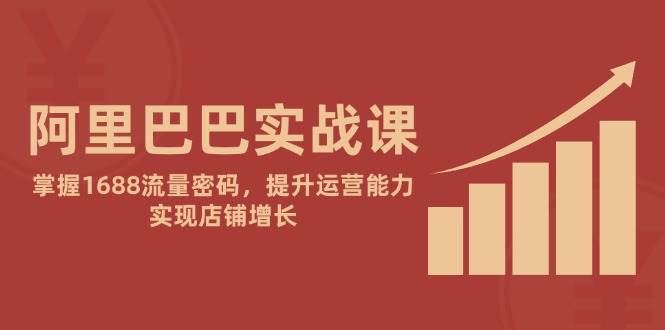 阿里巴巴实战课：掌握1688流量密码，提升运营能力，实现店铺增长-白戈学堂