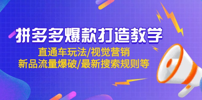 （14681期）拼多多爆款打造教学：直通车玩法/视觉营销/新品流量爆破/最新搜索规则等-白戈学堂