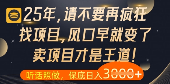 什么？25年你还在疯狂找项目做，醒醒吧，看完这些你全都懂了-白戈学堂