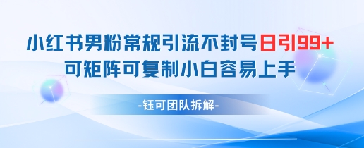 小红书男粉常规引流不封号日引99+变现简单 可矩阵可复制小白容易上手-白戈学堂