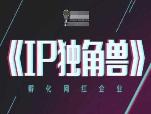 IP独角兽，孵化网红企业，ip教程-白戈学堂