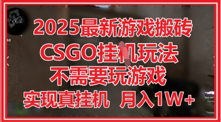 2025最新游戏搬砖，CSGO挂G，不需要玩游戏，实现真挂G，月入1W+-白戈学堂