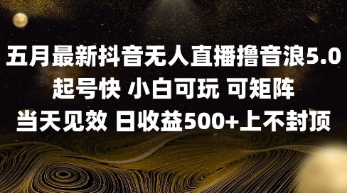 2025五月最新无人直播撸音浪单日产出5张+实操教程-白戈学堂