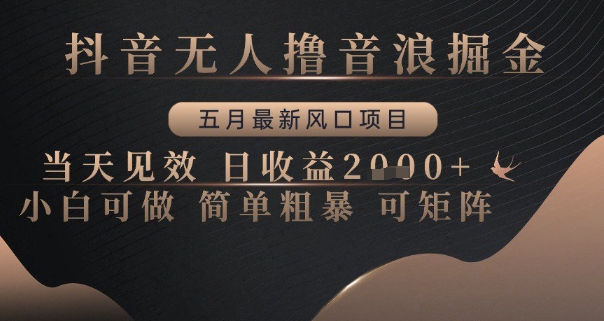 抖音无人撸音浪掘金，五月最新风口项目，当天见效，日收益多张，小白可做简单粗暴可矩阵-白戈学堂