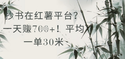 抄书在小红薯平台？平均一单30米，一天收益几张！-白戈学堂