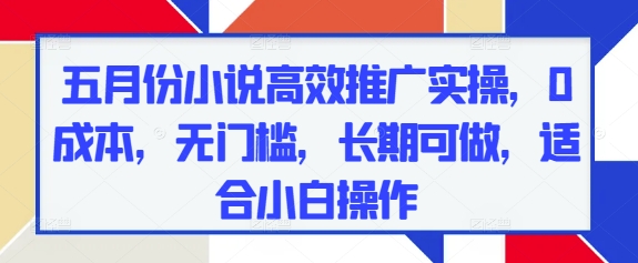 五月份小说高效推广实操，0成本，无门槛，长期可做，适合小白操作-白戈学堂