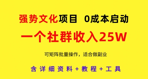 强势文化项目，一个社群收入25个W，0成本启动，可矩阵批量操作，原创详细实操教程-白戈学堂