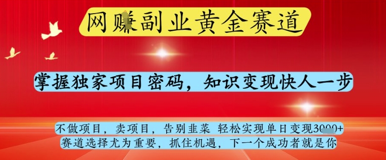 网创副业黄全赛道，掌握独家项目密码，知识变现快人一步，告别韭菜轻松实现单日变现1k+-白戈学堂