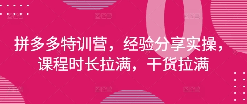 拼多多特训营，经验分享实操，课程时长拉满，干货拉满(更新25年4月)-白戈学堂