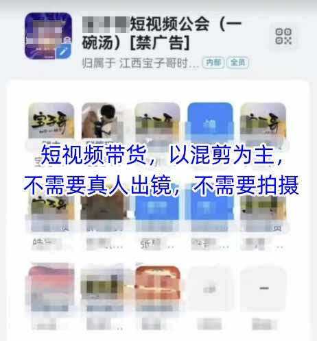 （14692期）2025短视频带货内训营，以混剪为主，不需要真人出镜，不需要拍摄-白戈学堂