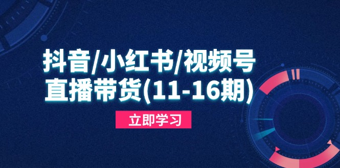 （14611期）抖音/小红书/视频号/直播带货（11-16期），快速掌握平台规则，打造爆款内容-白戈学堂
