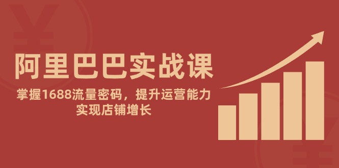 （14830期）阿里巴巴实战课：掌握1688流量密码，提升运营能力，实现店铺增长-白戈学堂