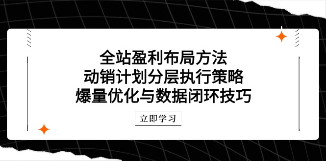 （14698期）全站盈利布局方法：动销计划分层执行策略，爆量优化与数据闭环技巧-白戈学堂
