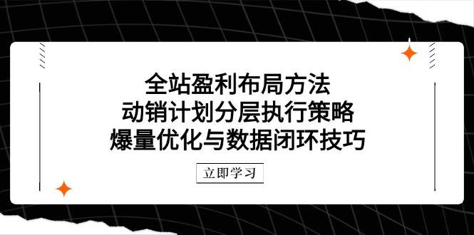 全站盈利布局方法：动销计划分层执行策略，爆量优化与数据闭环技巧-白戈学堂